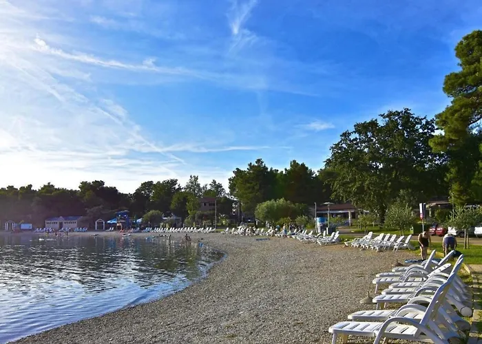 Alpa4 By Interhome Apartamento